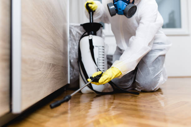 Best Wildlife Control Services  in Thunderbolt, GA