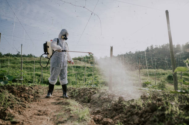 Best Commercial Pest Control Services  in Thunderbolt, GA