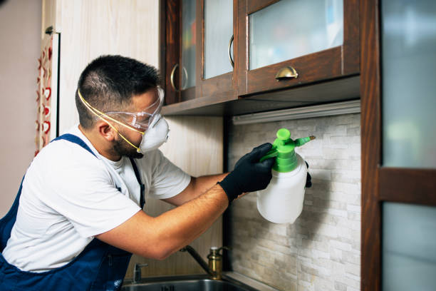 Best Flea Control Services  in Thunderbolt, GA
