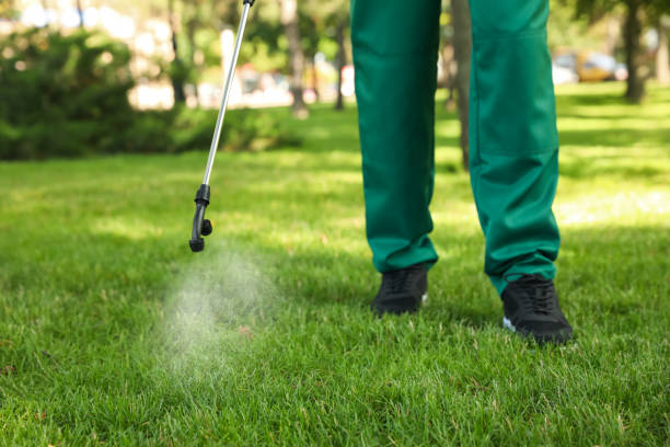 Best Rat Extermination Near Me  in Thunderbolt, GA