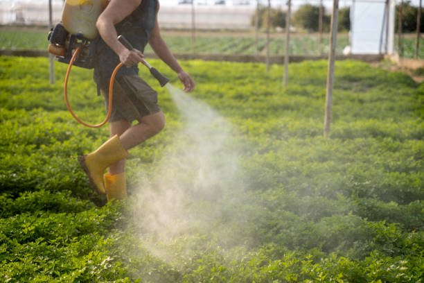 Best Best Pest Control Companies  in Thunderbolt, GA