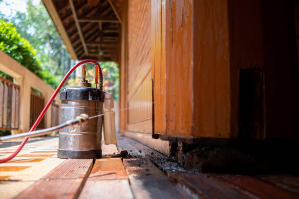 Best Best Pest Control Companies  in Thunderbolt, GA